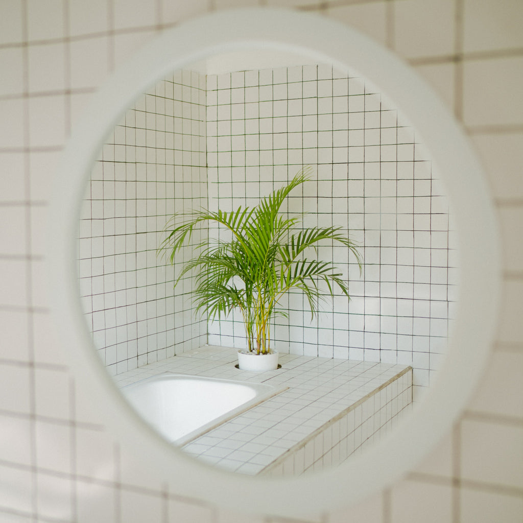 5 stilvolle Pflanzen für dein Badezimmer